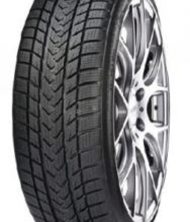 Gripmax STATUS PRO WINTER 3PMSF 255/35 R19 96V