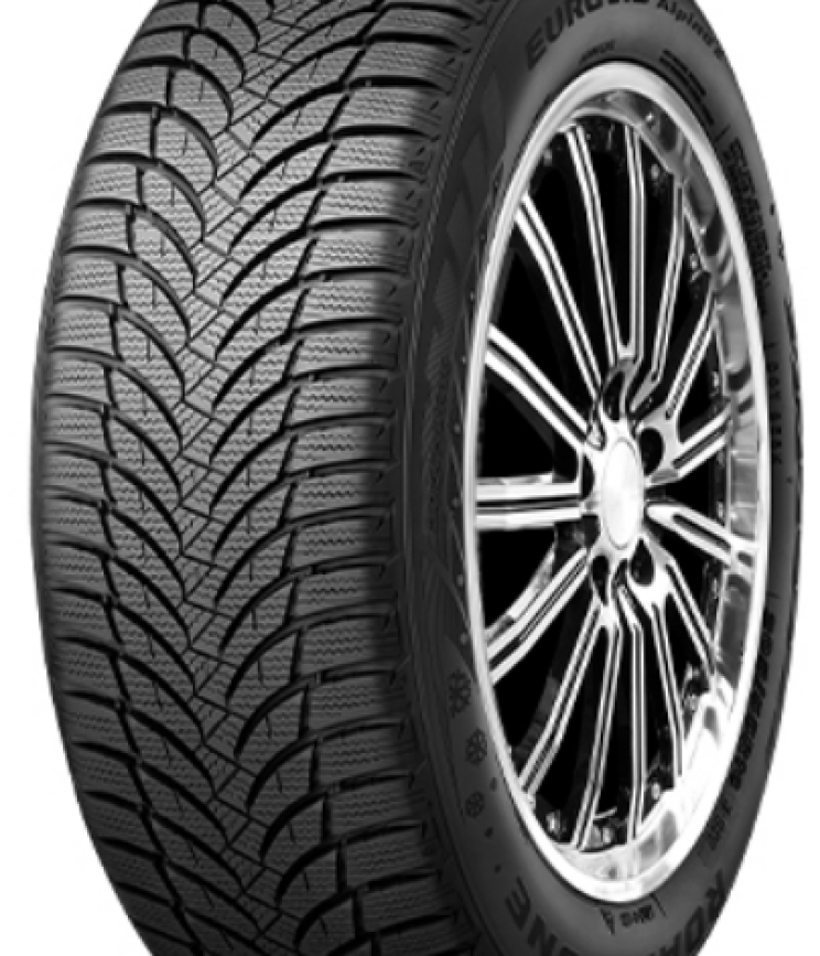 Roadstone Eurovis alpine 2 195/65 R15 95T