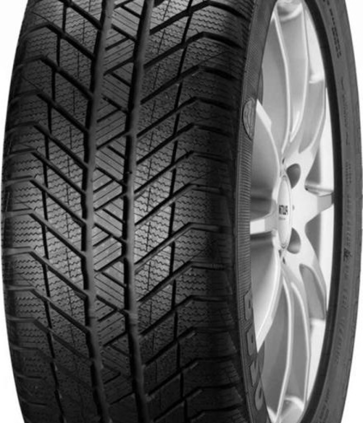 Platin RP-70 Winter 225/50 R18 99V