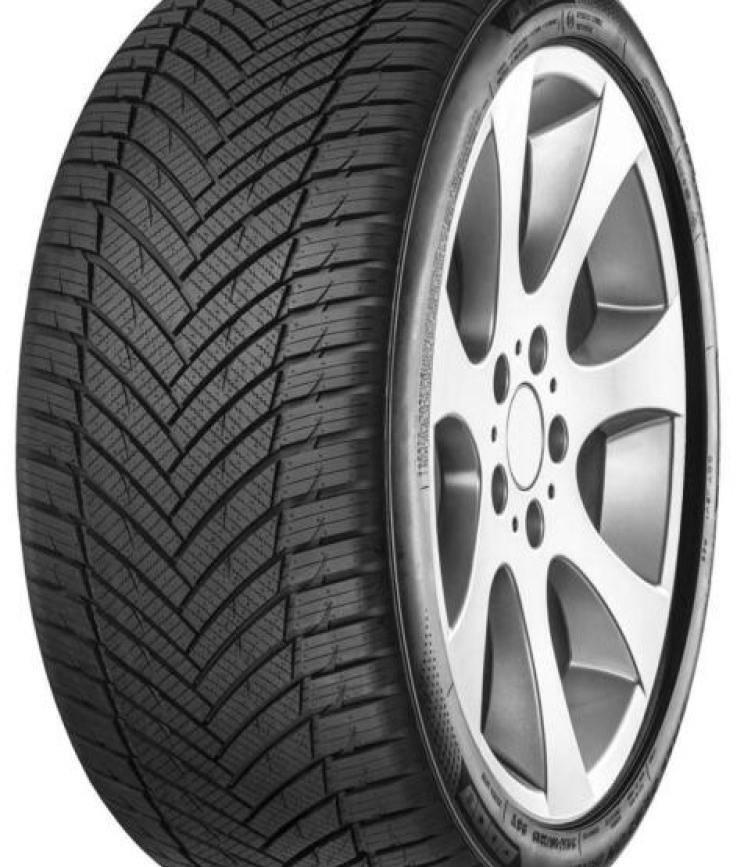 Minerva MASTER AS 225/65 R17 106V