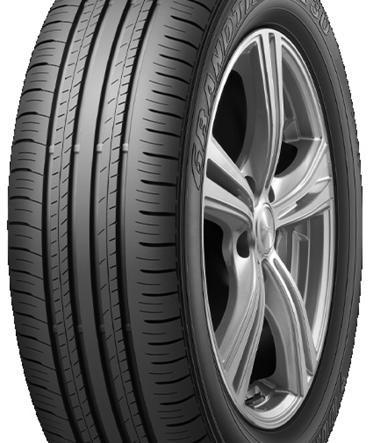 DUNLOP Grandtrek PT30 225/60 R18 100H
