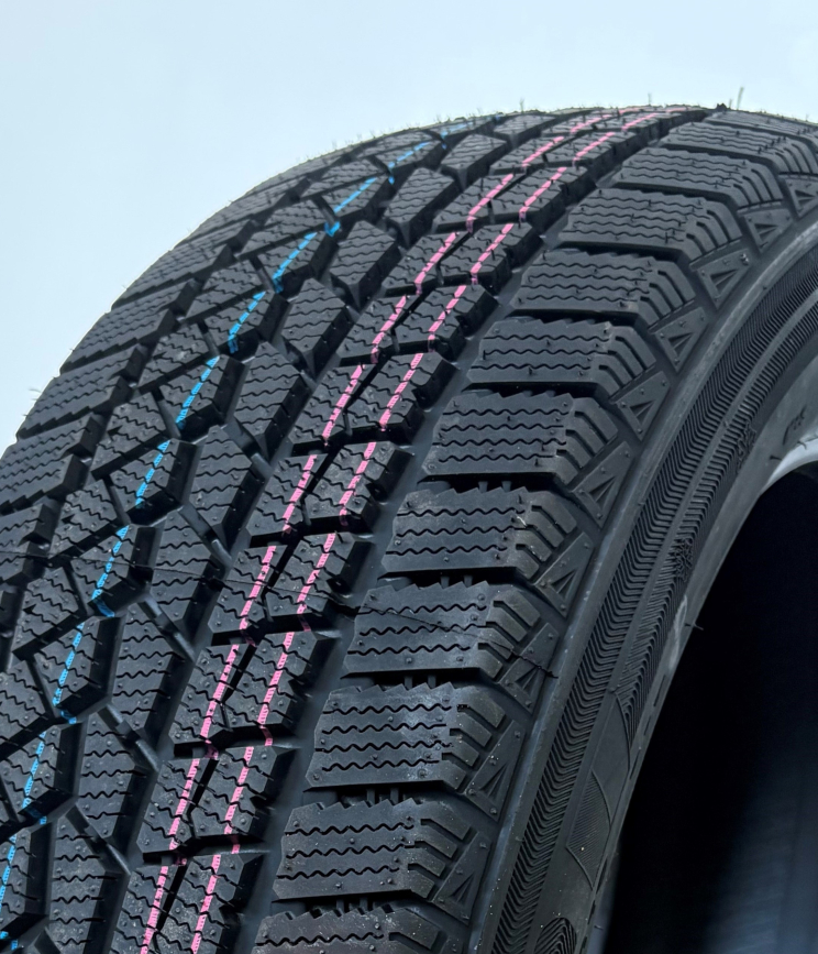 DOUBLESTAR WINTERKING DW02 Minšto mišinio 205/55 R16 91T