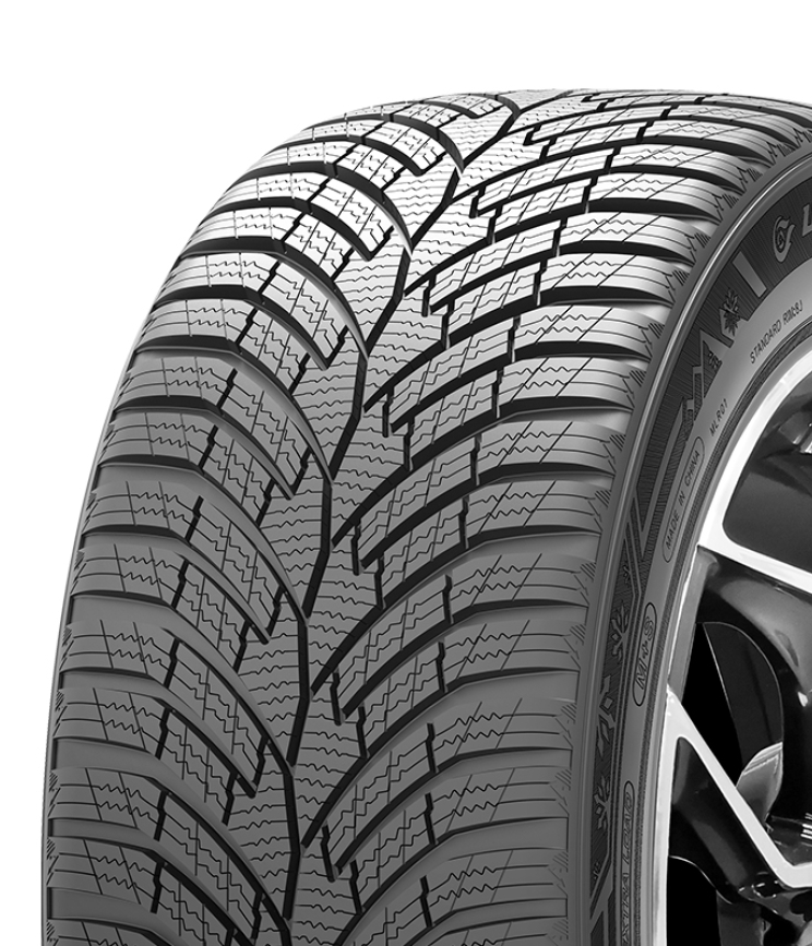WINDFORCE SNOWMASTER 205/55 R17 95V