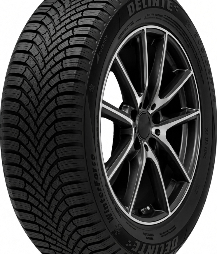 DELINTE Winterforce 205/55 R17 95H
