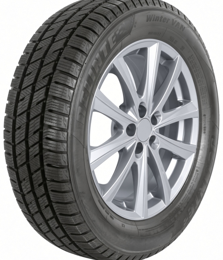 DELINTE Winter VAN 235/65 R16C 115S