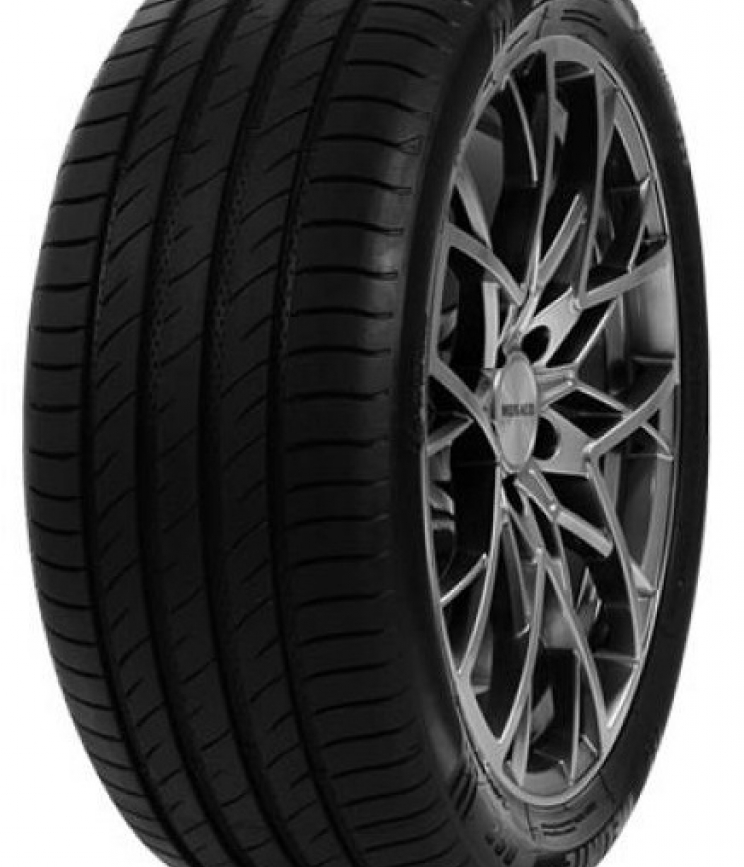 DELINTE DS2 SUV 235/55 R18 104V