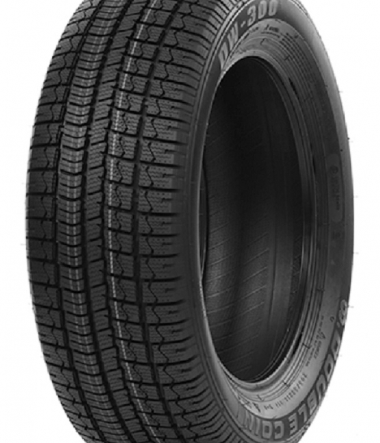 Double Coin DW300 205/55 R16 94V