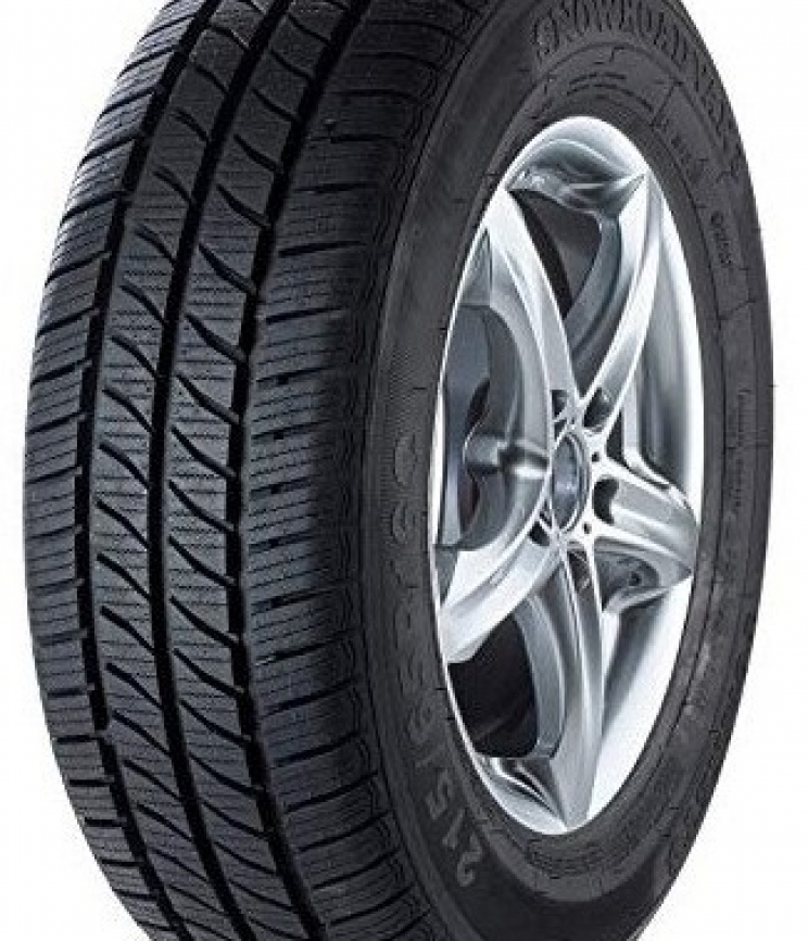 FORTUNA Gowin VAN 205/65 R16C 107R