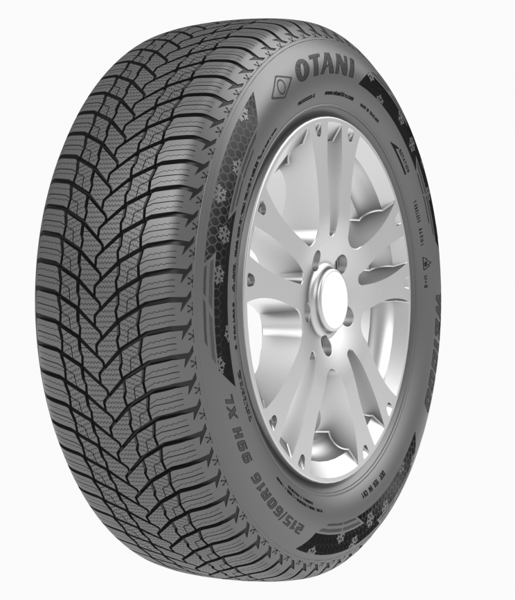 OTANI Otani WE1000 205/60 R16 92 H