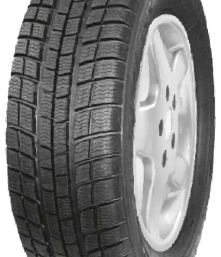 PROFIL (Atnaujintos) WINTERMAXX 205/55 R16 91H